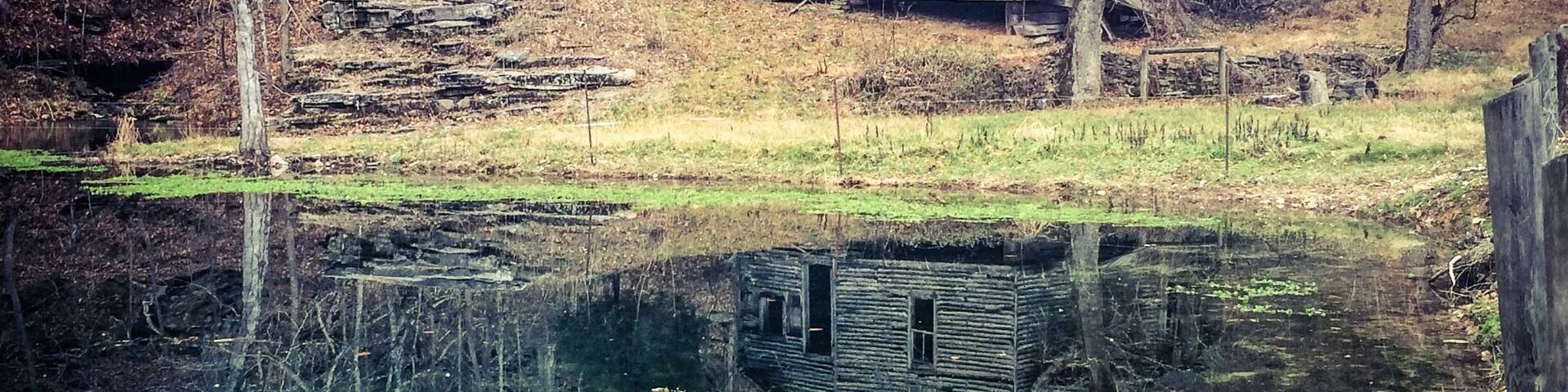 Old rustic home left to ruins by a pond. Love the reflection.