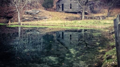 Old rustic home left to ruins by a pond. Love the reflection.