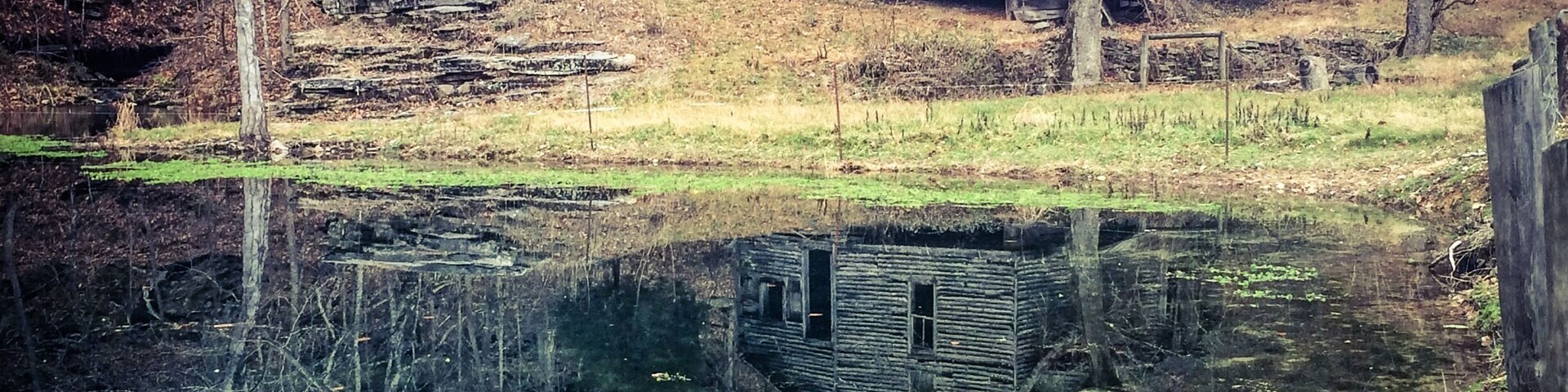 Old rustic home left to ruins by a pond. Love the reflection.