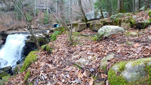This is the Collins West area in the Savage Gulf - aka South Cumberland State Park. This is Horsepound falls. Been here several times. One of my favorites hikes in TN. Also great place to take kids backpacking or camping. The campground is only about a ten minute walk from the parking lot.