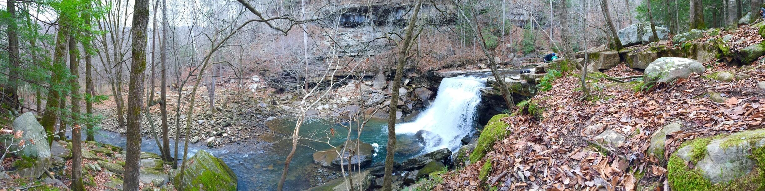 A waterfall in a forested area with rocks and fallen leaves.