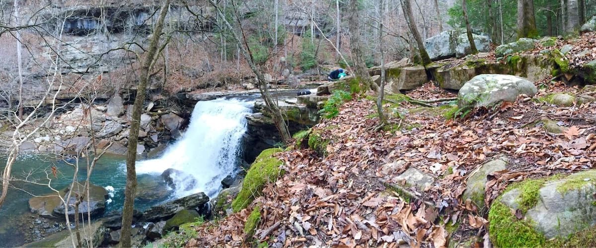 A waterfall in a forested area with rocks and fallen leaves.