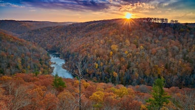 A river winding through a forest with autumn foliage.