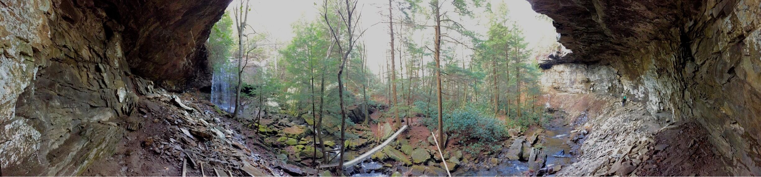 This is the Collins West area in the Savage Gulf - aka South Cumberland State Park.  The area where Suter Falls is located is my favorite places in TN. It is a short hike to this fall. 