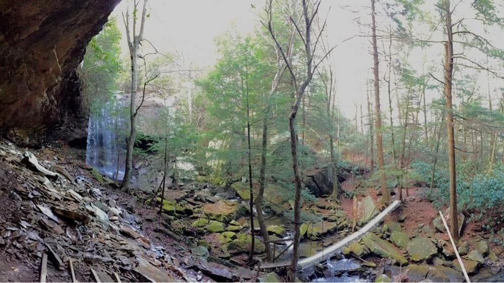 A cave opening with a waterfall and forest.