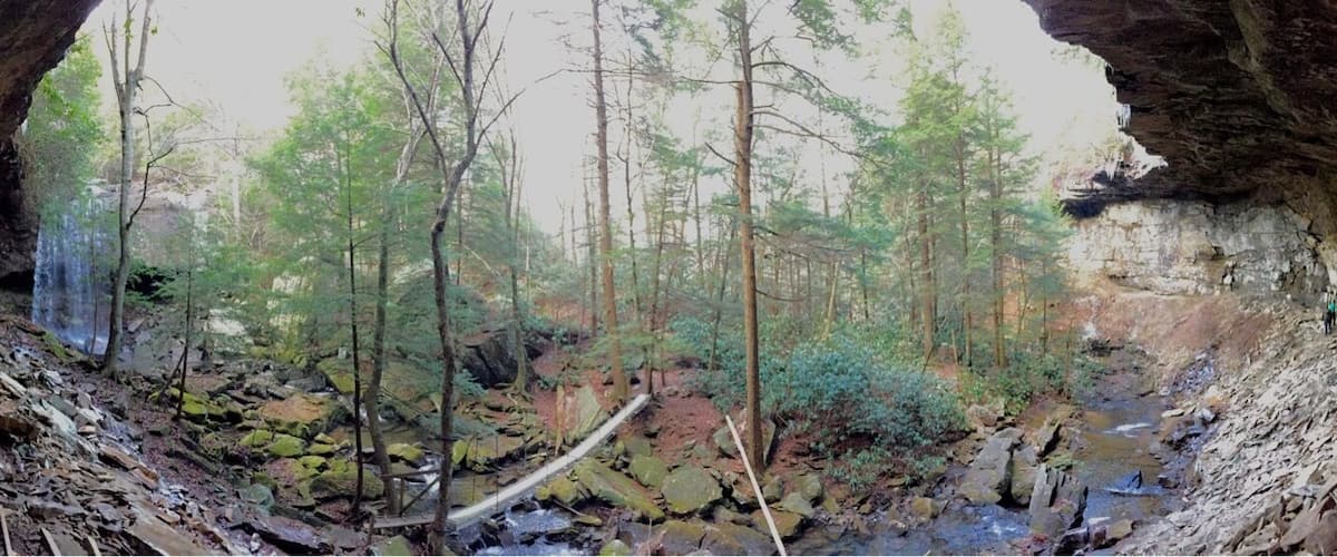 This is the Collins West area in the Savage Gulf - aka South Cumberland State Park. The area where Suter Falls is located is my favorite places in TN. It is a short hike to this fall.