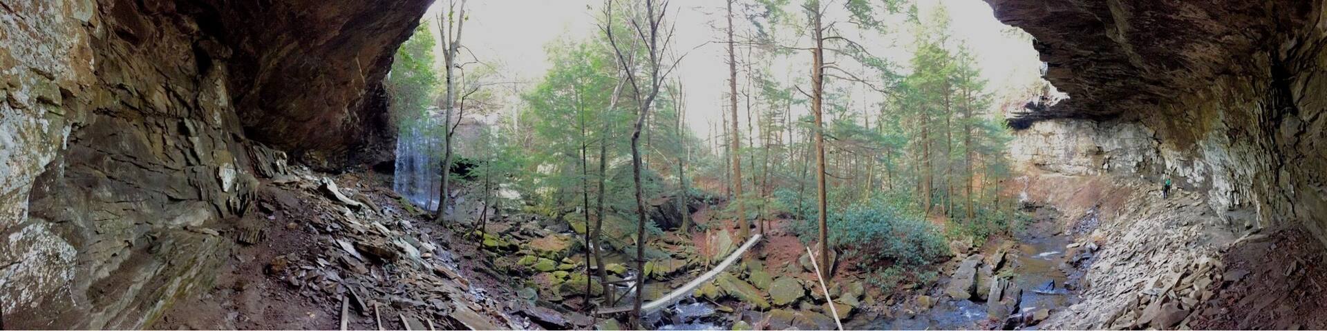 This is the Collins West area in the Savage Gulf - aka South Cumberland State Park. The area where Suter Falls is located is my favorite places in TN. It is a short hike to this fall.