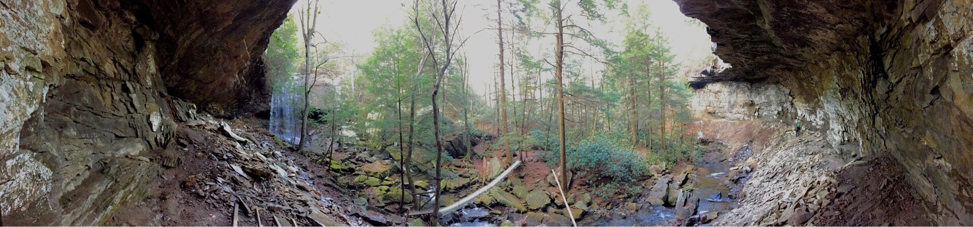 This is the Collins West area in the Savage Gulf - aka South Cumberland State Park. The area where Suter Falls is located is my favorite places in TN. It is a short hike to this fall.