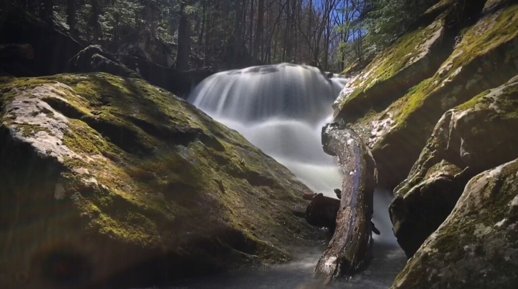 Nice hike into Collin’s Gulf. Rainy season waterfalls are a sight to see.