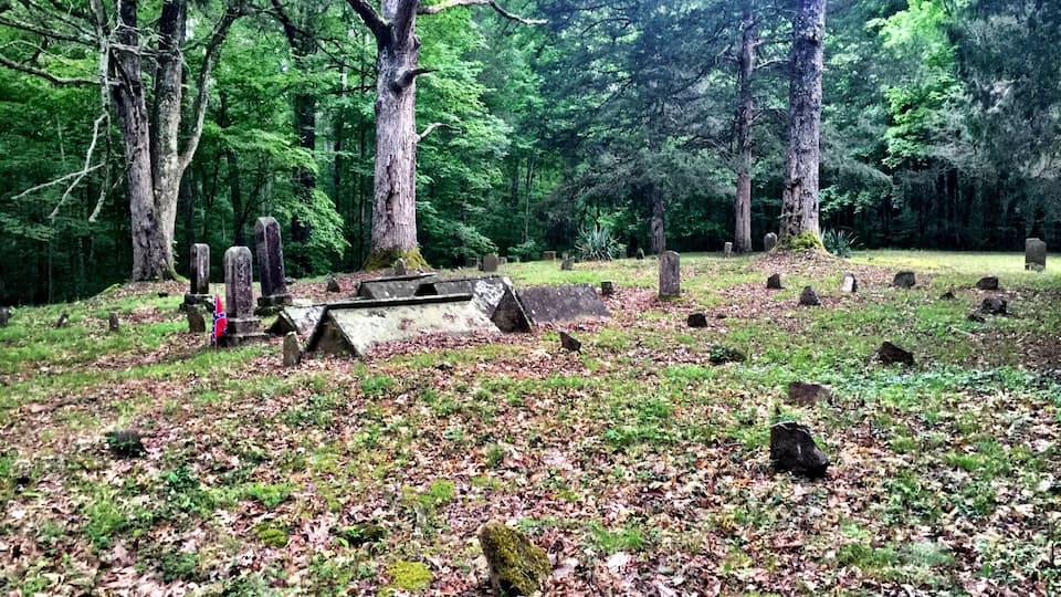 A cemetery surrounded by dense forest with gravestones and a flag.