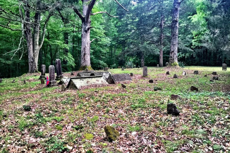 A cemetery surrounded by dense forest with gravestones and a flag.