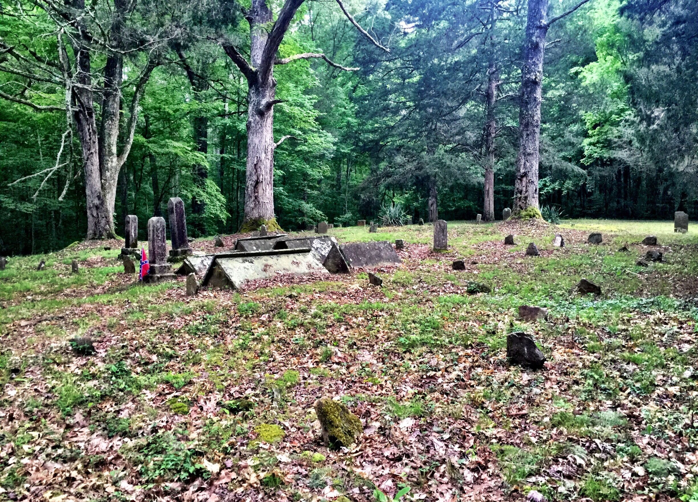 A cemetery surrounded by dense forest with gravestones and a flag.