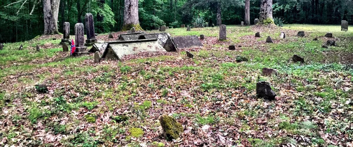 A cemetery surrounded by dense forest with gravestones and a flag.
