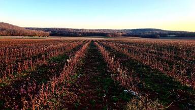 we love hitting up back roads of our beautiful northern Alabama! Never know what you’ll stumble across 🥰#HomeSweetHomeAlabama
#OnTheRoad
#LoveMyTown
#NomadicSoul
#TravelinLight
#SpringFun
#Sunburst
#Colorful
#Patterns
#Perspectives
#SpringFun