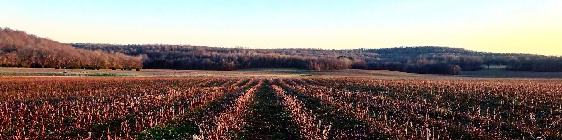 we love hitting up back roads of our beautiful northern Alabama! Never know what you’ll stumble across 🥰#HomeSweetHomeAlabama
#OnTheRoad
#LoveMyTown
#NomadicSoul
#TravelinLight
#SpringFun
#Sunburst
#Colorful
#Patterns
#Perspectives
#SpringFun
