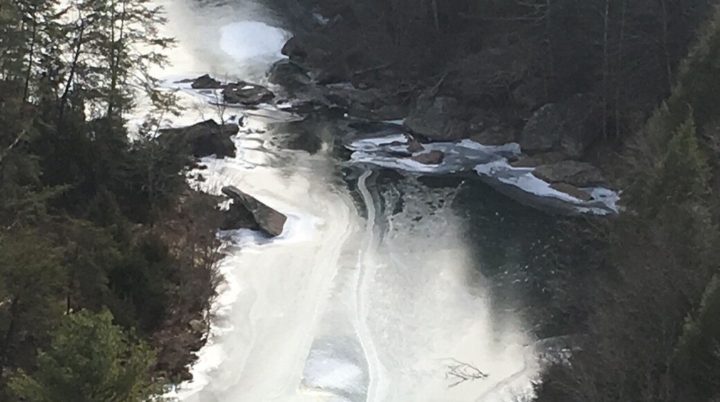 Lilly river. Frozen. So pretty.