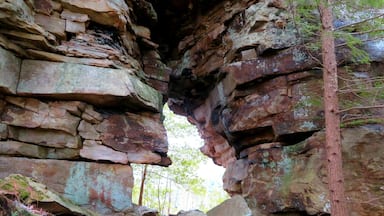 I love seeing unusual rock formations. Can you see the heart ❤