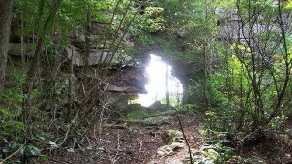 A forested area with a rocky overhang and a path leading through it.