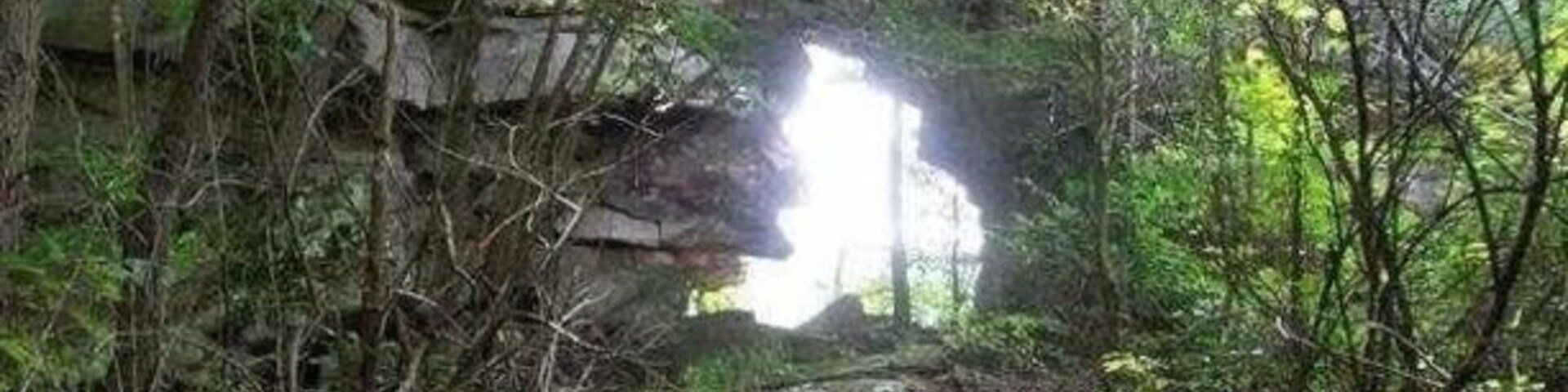 A forested area with a rocky overhang and a path leading through it.