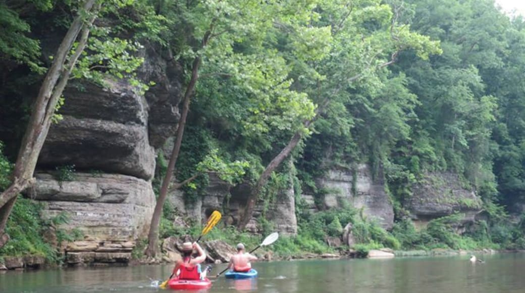 Best river close to Nashville. Spring fed and always fun.