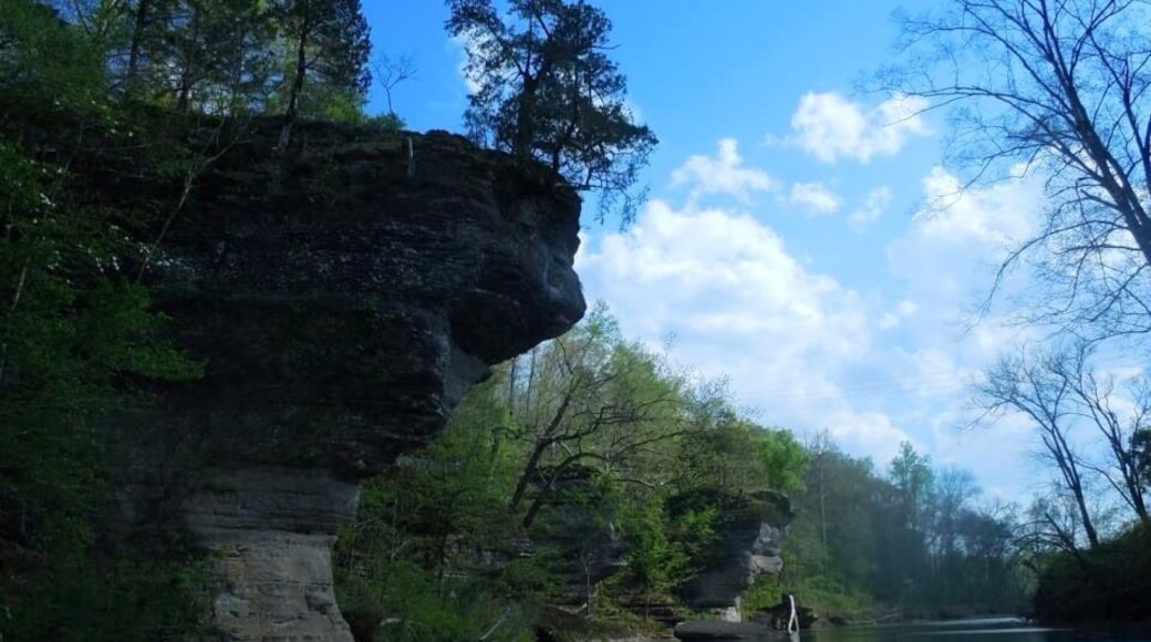 One of my favorite kayaking destinations outside of Nashville. This is a section of the Piney river.
