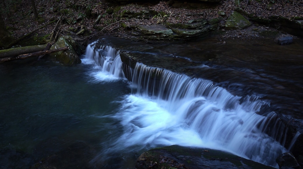 Very peaceful and smooth flowing hike on the Cumberland Trail- Piney River Segment. Many small waterfalls and swimming holes along the way.