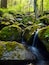 Ein WaldBach mit Moos bedeckten Steinen und einem Wasserfall.