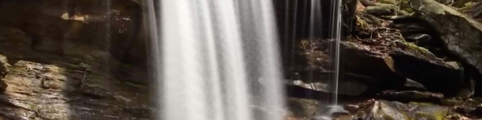 Frozen Head State Park Emory Gap Trail. Nice hike to a really cool waterfall.