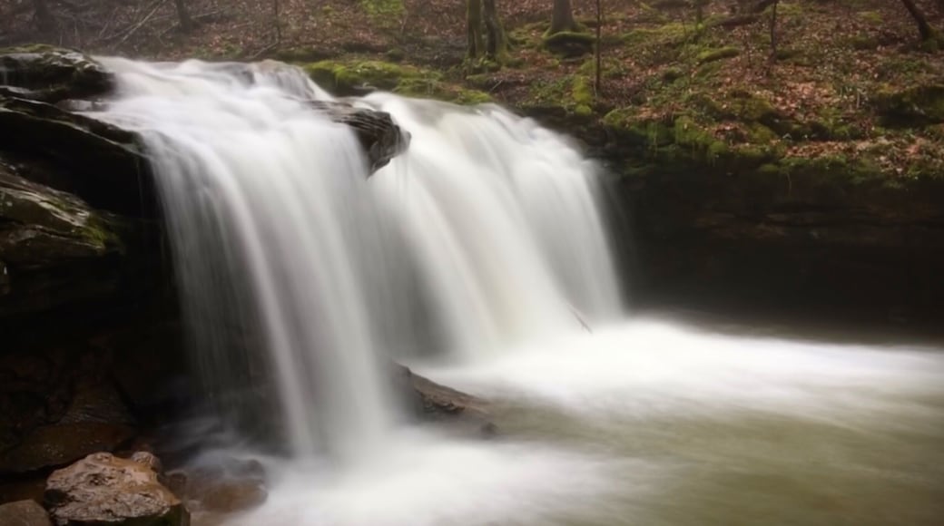 Nice waterfall along the Flat Fork Trail.