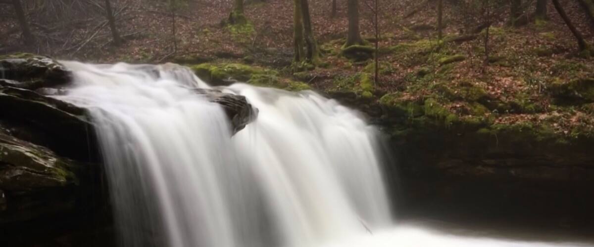 Nice waterfall along the Flat Fork Trail.