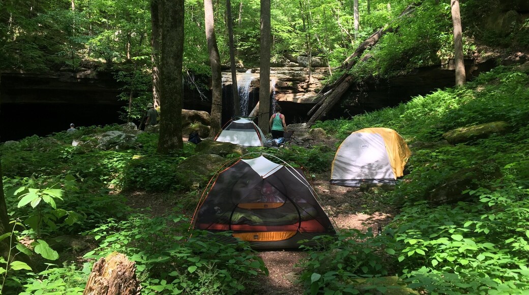 This is one of my favorite camping spots in TN. Camp is just below Big Laurel Falls. It is approx 2.5 mile hike to the camp spot and another 2 miles to Virgin Falls.