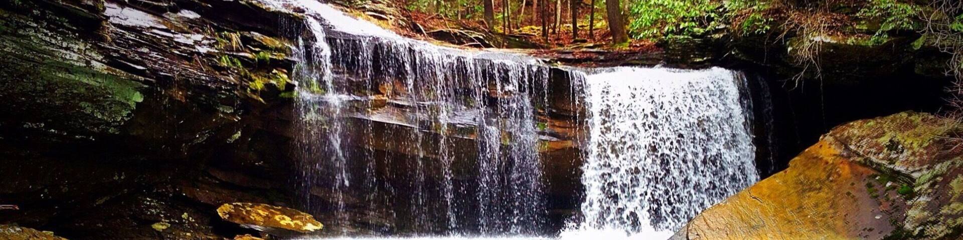 Springtime at Imodium Falls. 2014