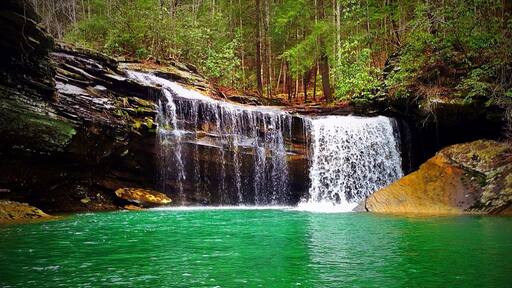 Springtime at Imodium Falls. 2014