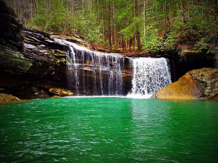 Springtime at Imodium Falls. 2014