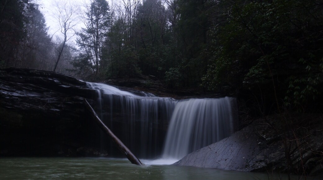 Great hike on the Cumberland Trail