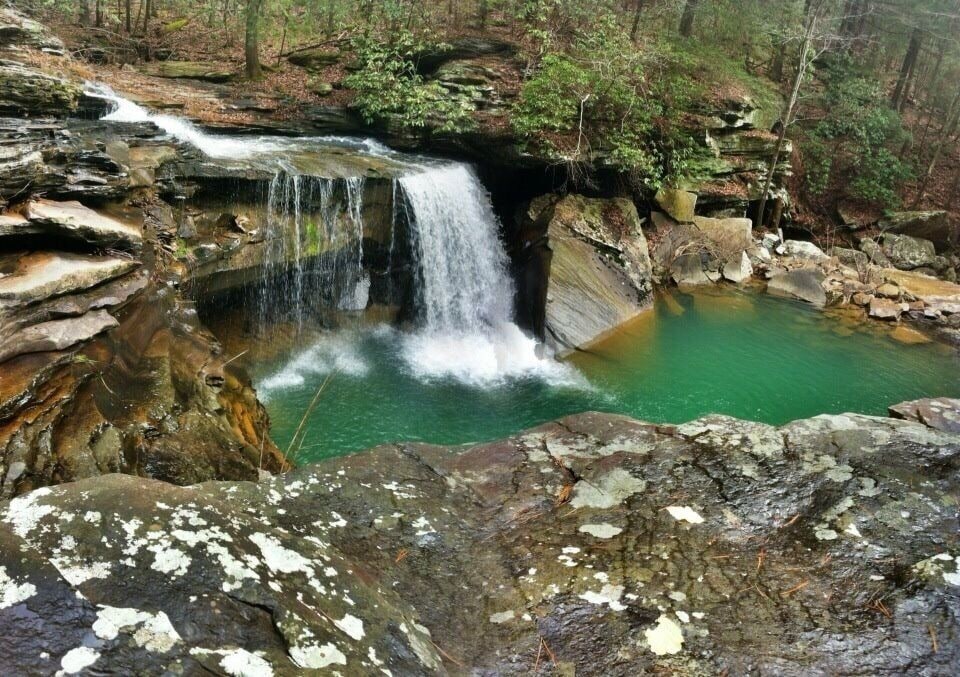 Hiking on Tennessee's Cumberland Trail.  Miles and miles of contentious trails completed. Many more to come.  #TakeAHike