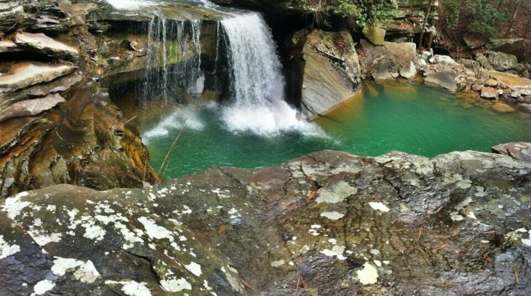 Hiking on Tennessee's Cumberland Trail. Miles and miles of contentious trails completed. Many more to come. #TakeAHike