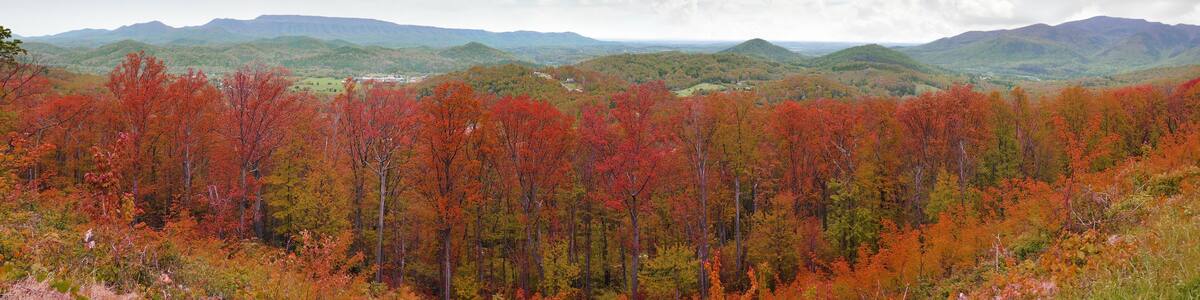 Wide panorama of Appalachian Mountains with red autumn colors