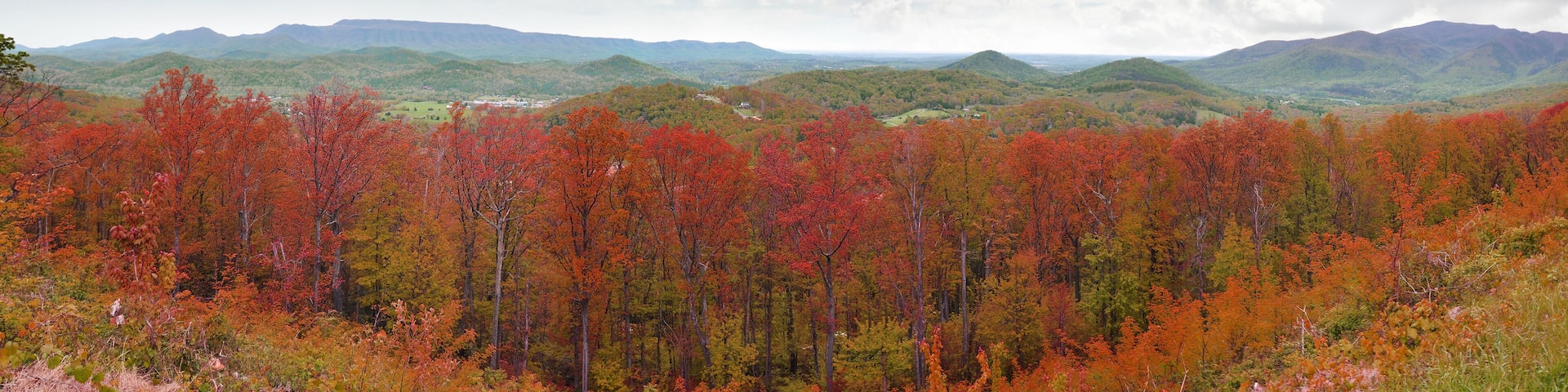 Wide panorama of Appalachian Mountains with red autumn colors