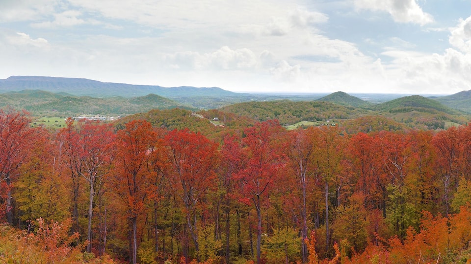 Wide panorama of Appalachian Mountains with red autumn colors