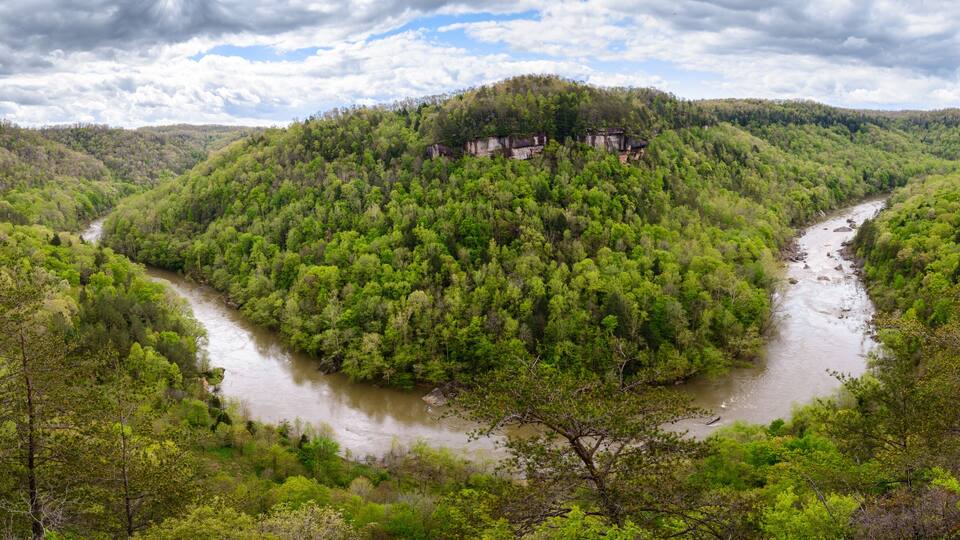 A river winding through a forested valley with a hill in the background.