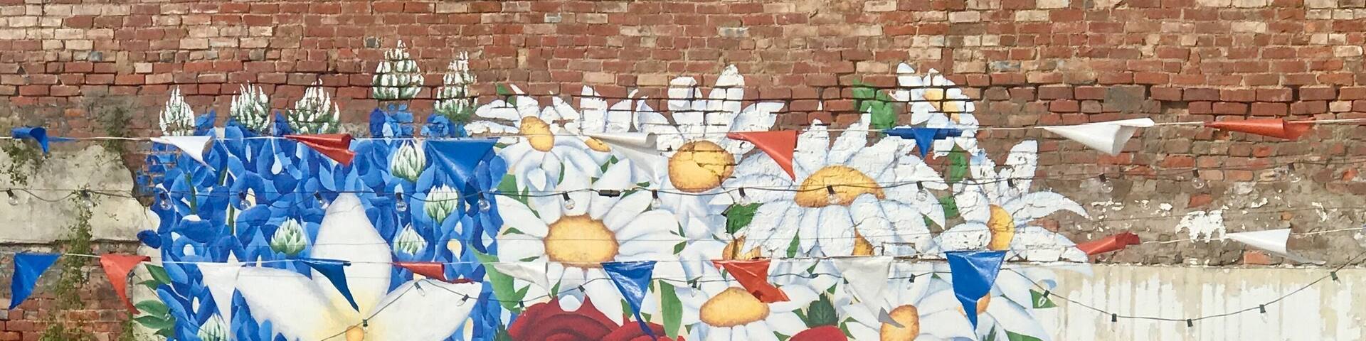 Celeste, Tx is very small, saw this on a wall and took pic, I like taking graffiti art.