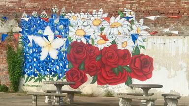 Celeste, Tx is very small, saw this on a wall and took pic, I like taking graffiti art.