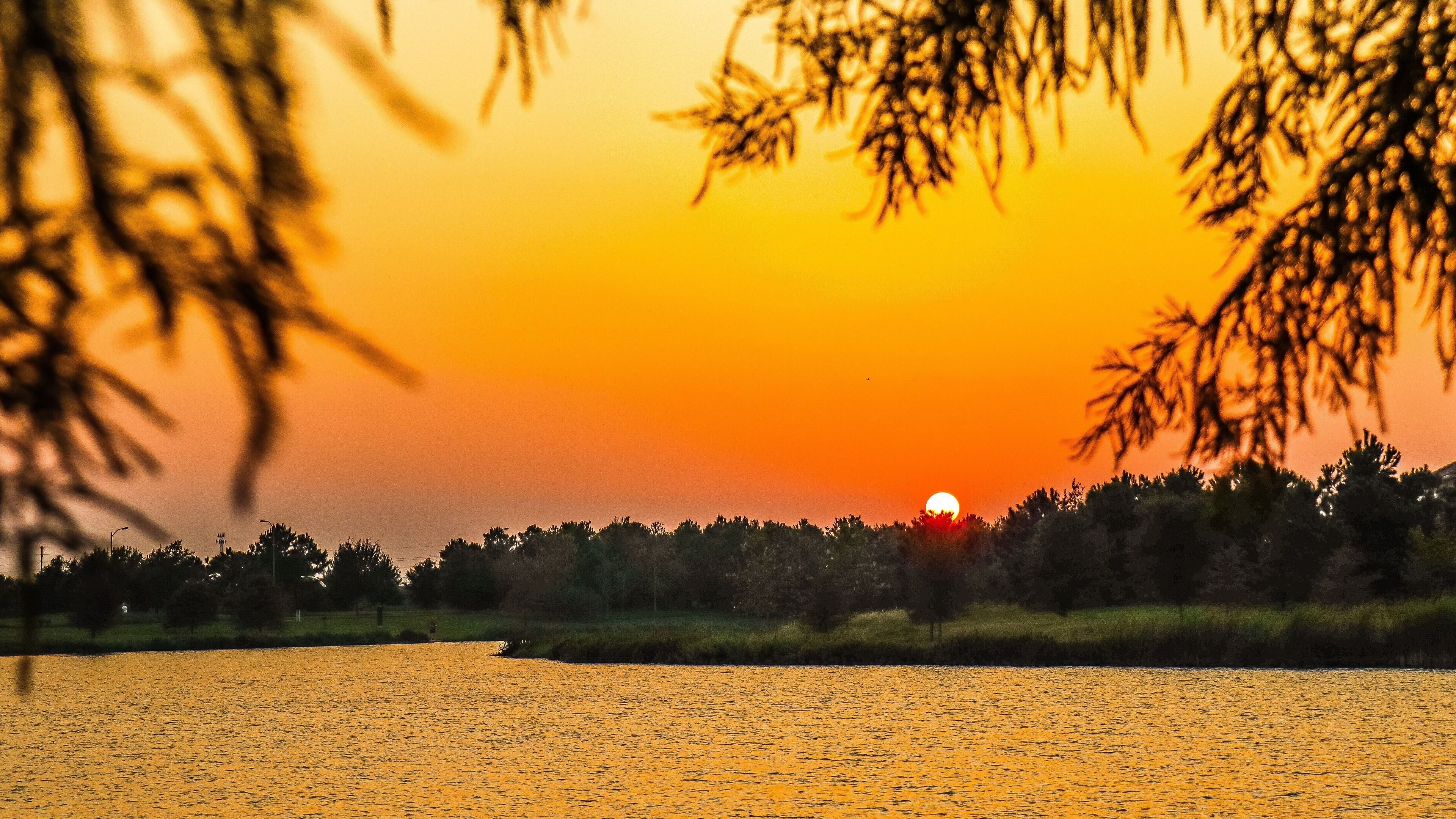 A sunset over a body of water with silhouettes of trees and a distant sun.