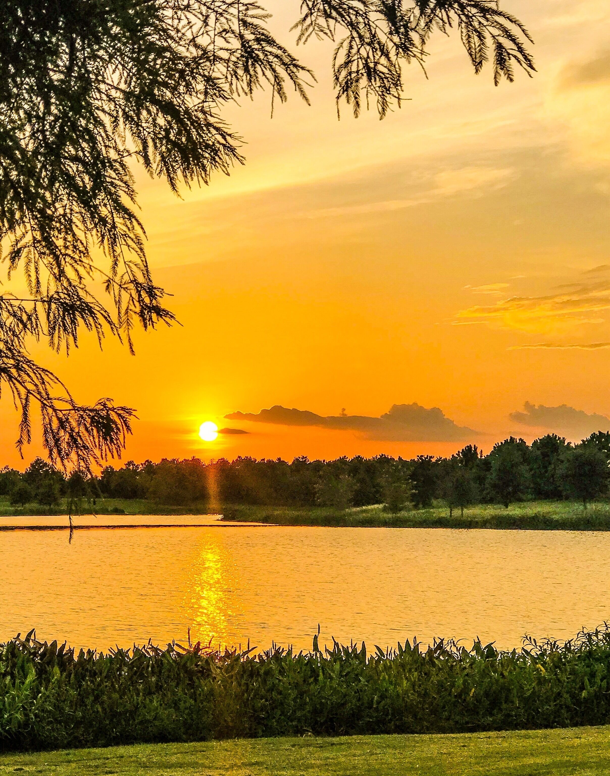 A sunset over a lake with trees in the foreground.