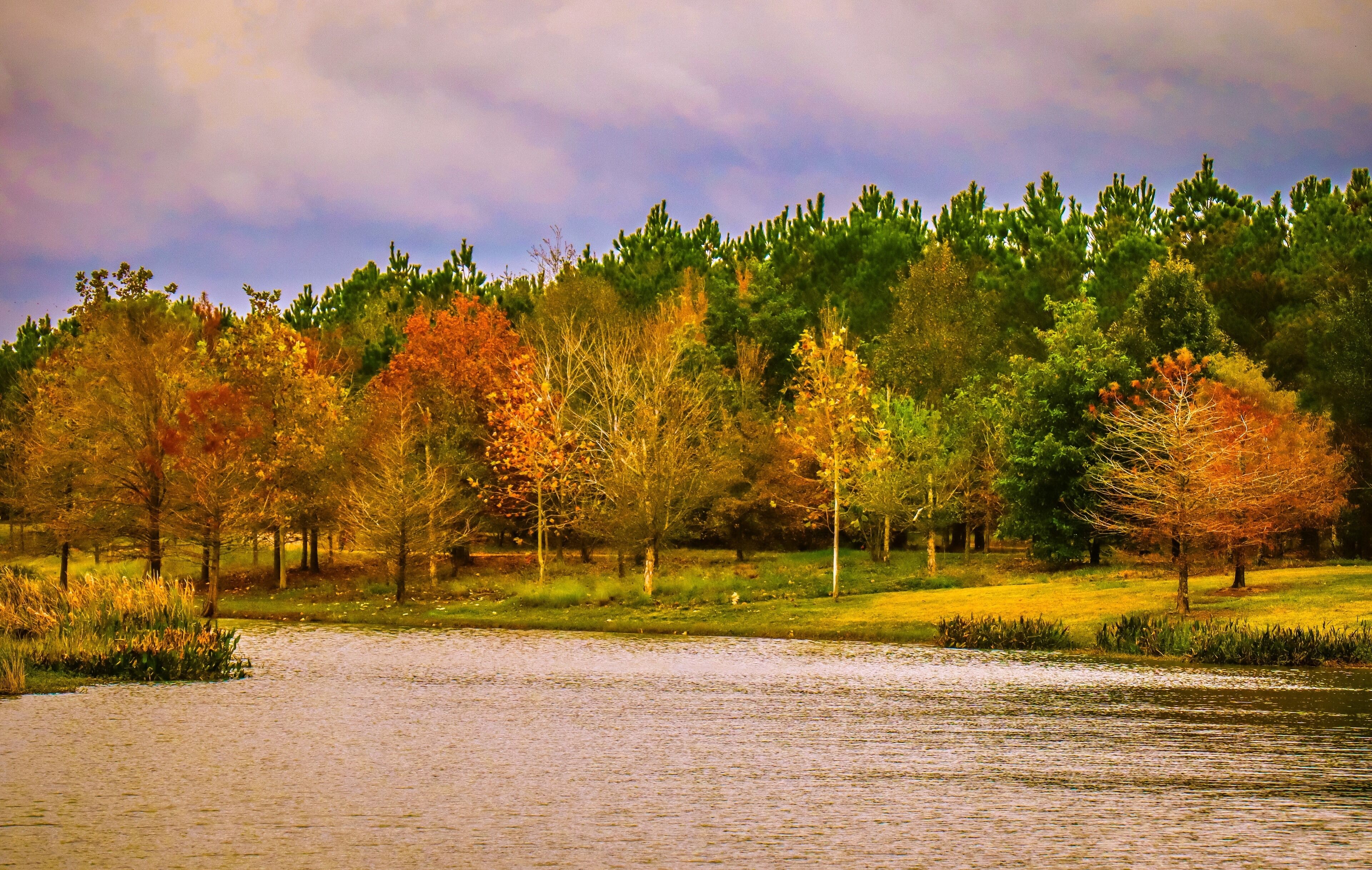 Fall in Fulshear, TX