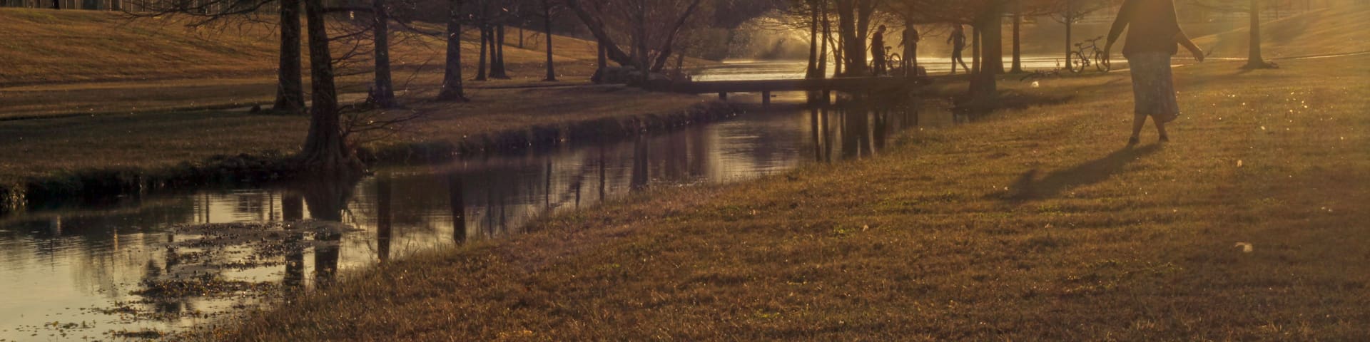 A serene park with a calm pond, leafless trees, and a person walking.