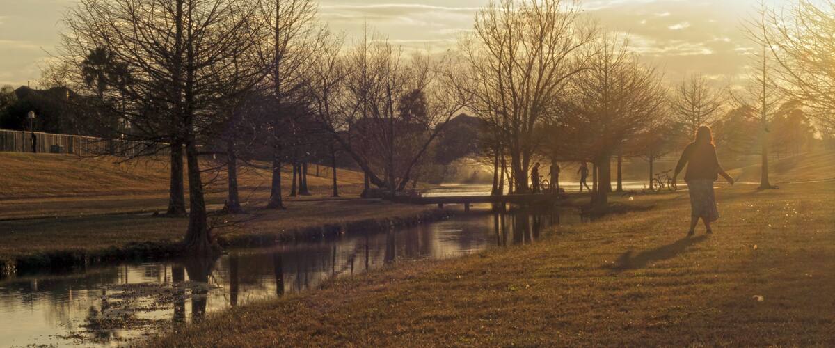 A serene park with a calm pond, leafless trees, and a person walking.