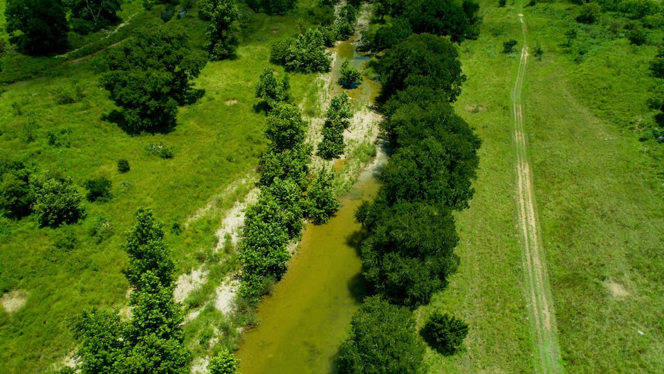 An aerial view of a river winding through a dense forest with a dirt path running alongside.