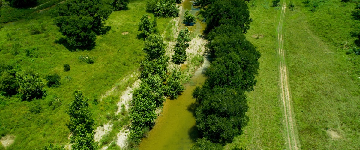 An aerial view of a river winding through a dense forest with a dirt path running alongside.